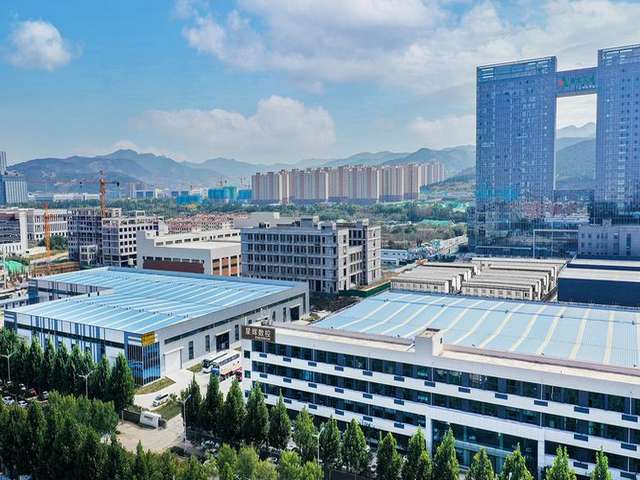 闽南特产安海土笋冻厂家直销